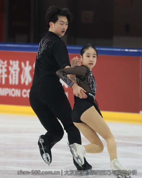 大发赢家彩票的技巧与案例分析